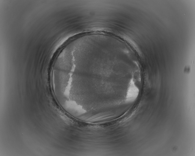 X0000091981023200709271423