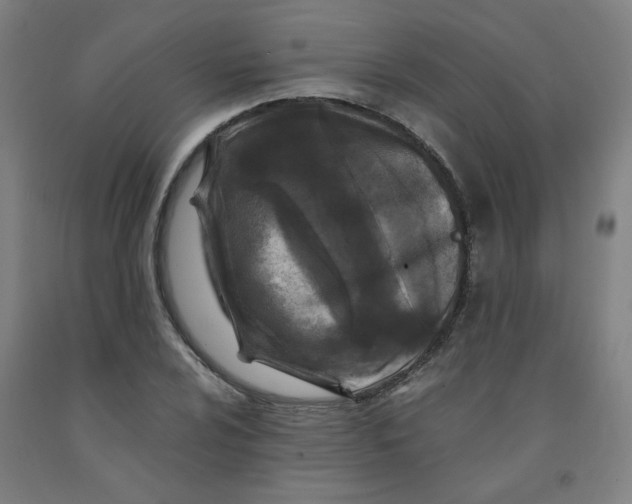 X0000091981024200709271423