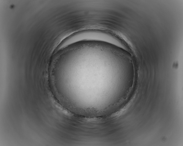 X0000091981025200709271423