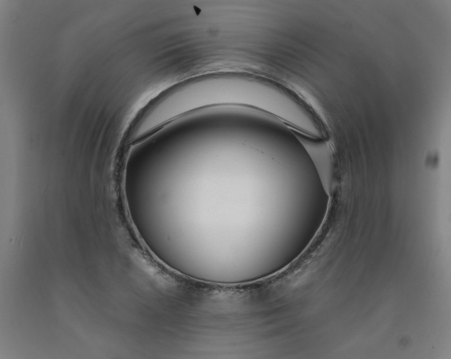 X0000091981026200709271423