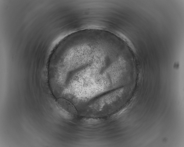 X0000091981027200709271423