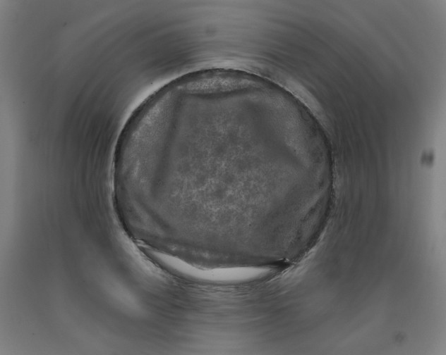 X0000091981028200709271423