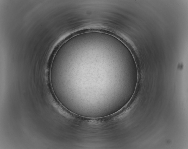 X0000091981029200709271423