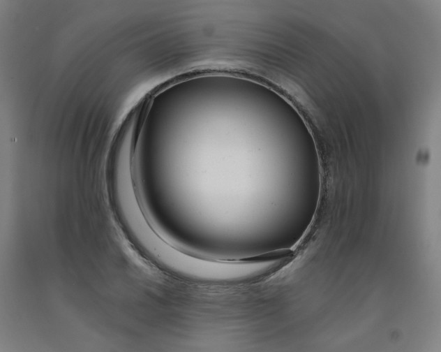 X0000091981030200709271423