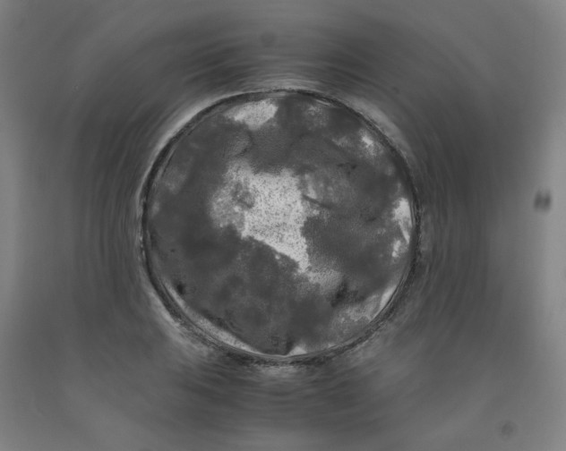 X0000091981031200709271423