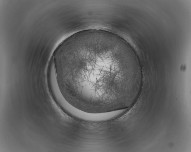 X0000091981032200709271423