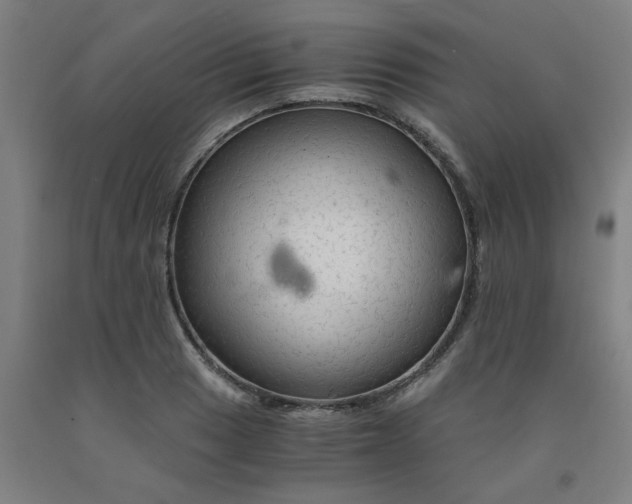 X0000091981033200709271423