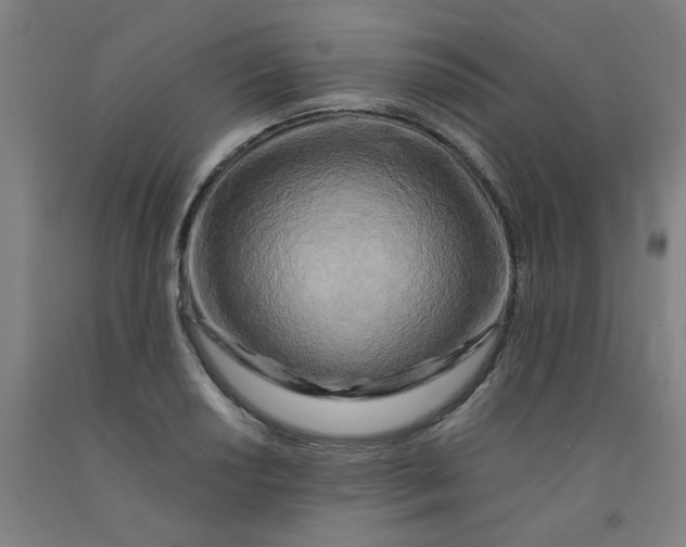 X0000091981034200709271423