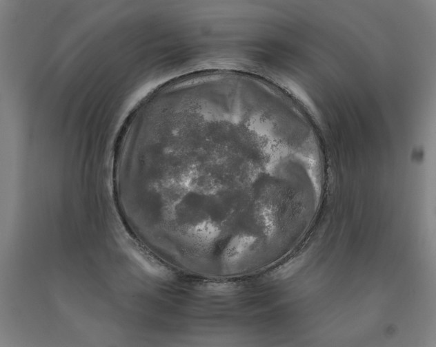 X0000091981035200709271423