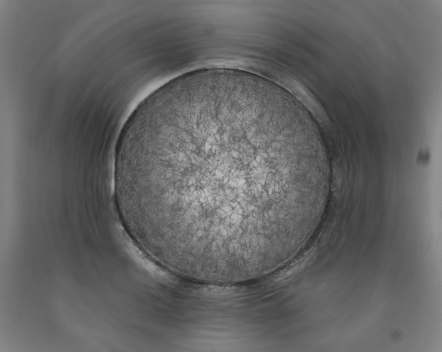 X0000091981036200709271423