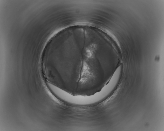 X0000091981037200709271423