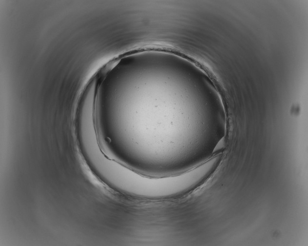 X0000091981038200709271423