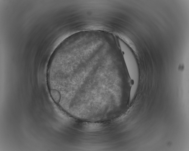 X0000091981039200709271423