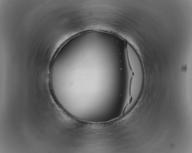 X0000091981040200709271423