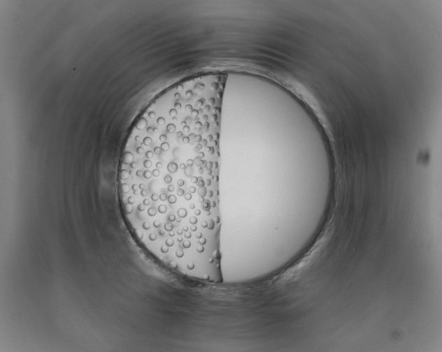 X0000091981041200709271423