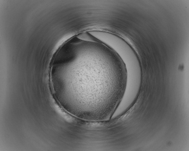 X0000091981042200709271423