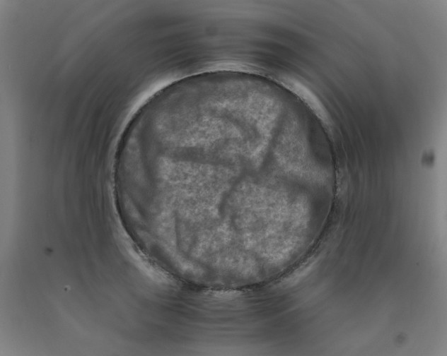 X0000091981043200709271423