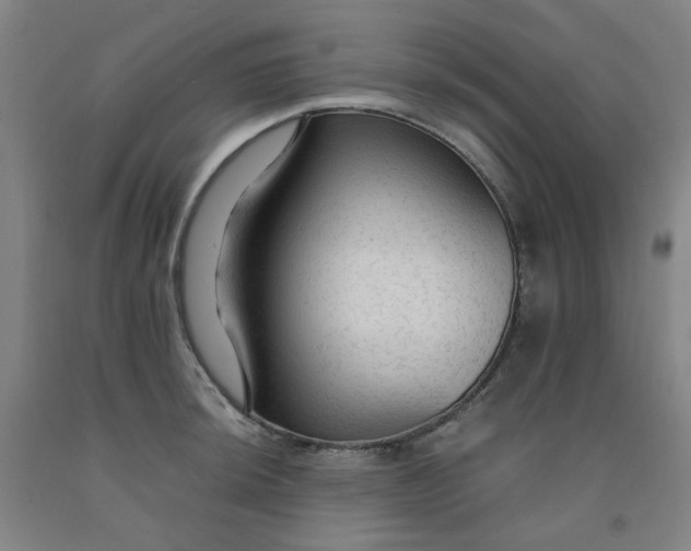 X0000091981044200709271423