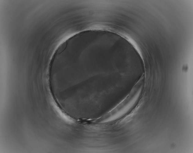 X0000091981045200709271423