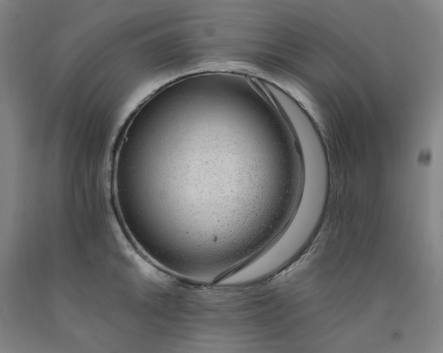 X0000091981046200709271423