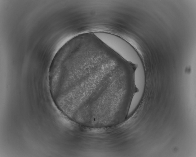 X0000091981047200709271423