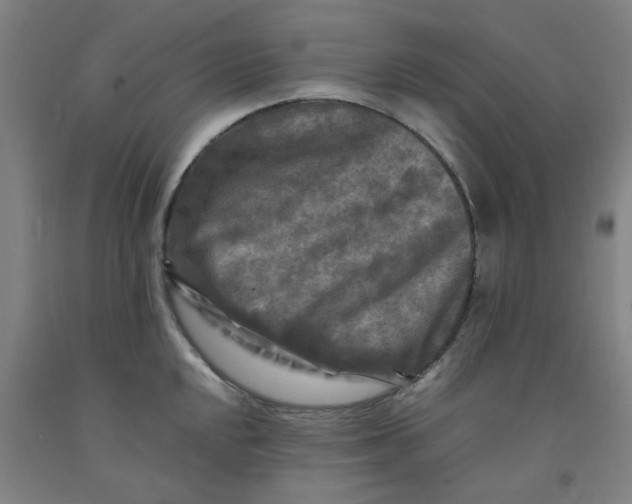 X0000091981048200709271423