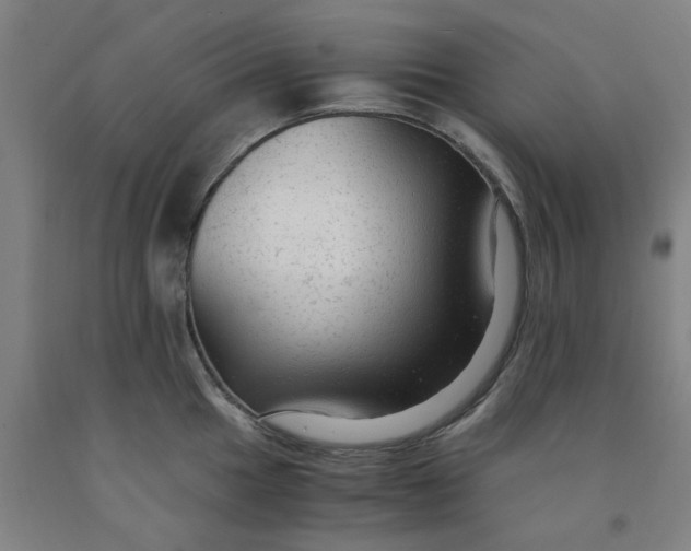 X0000091981049200709271423