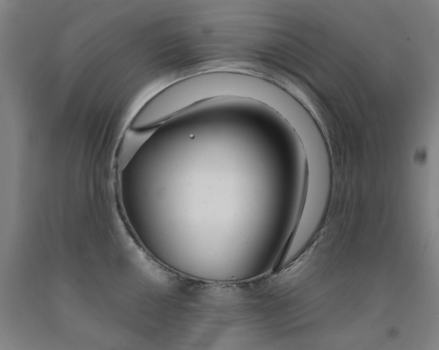 X0000091981050200709271423