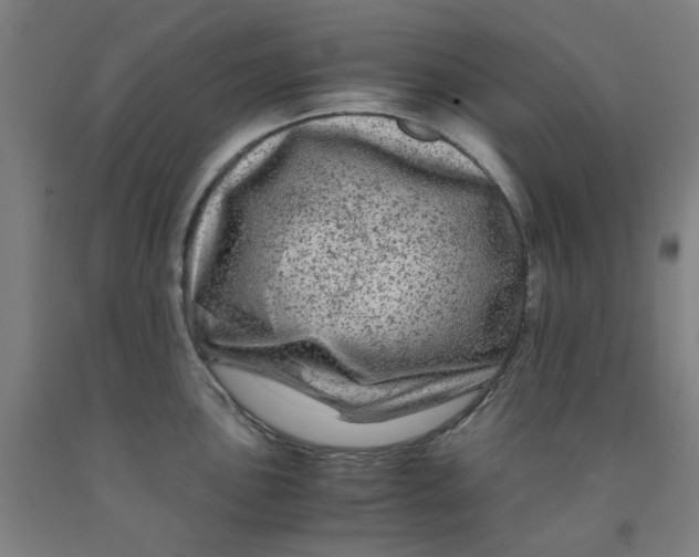 X0000091981051200709271423