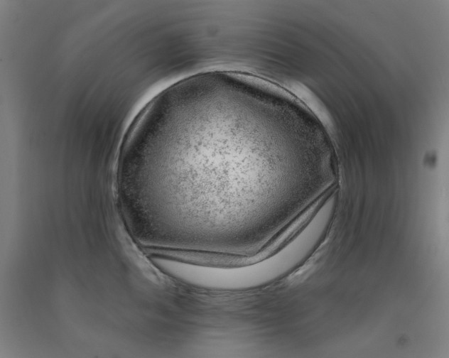 X0000091981052200709271423