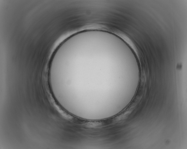 X0000091981053200709271423