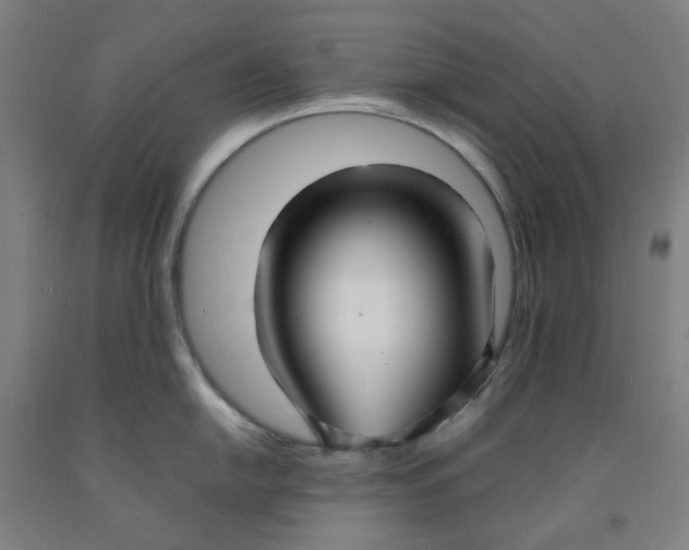 X0000091981054200709271423