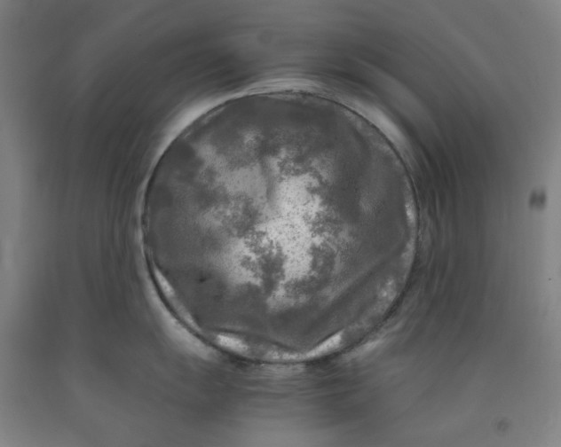 X0000091981055200709271423