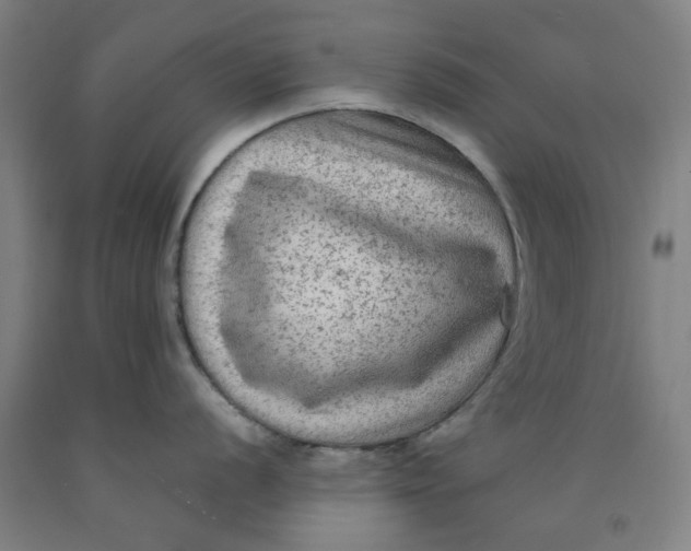 X0000091981056200709271423