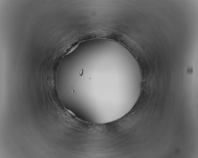 X0000091981058200709271422