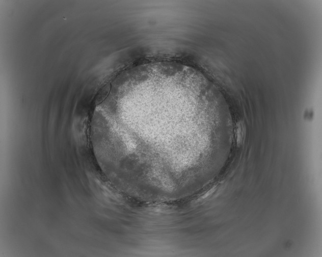 X0000091981059200709271422