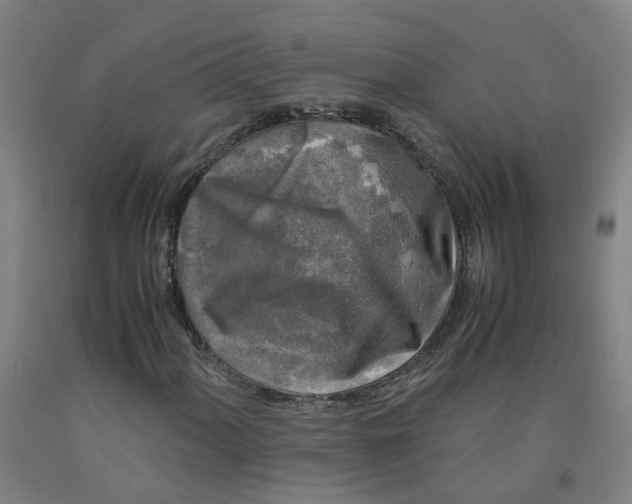 X0000091981060200709271422