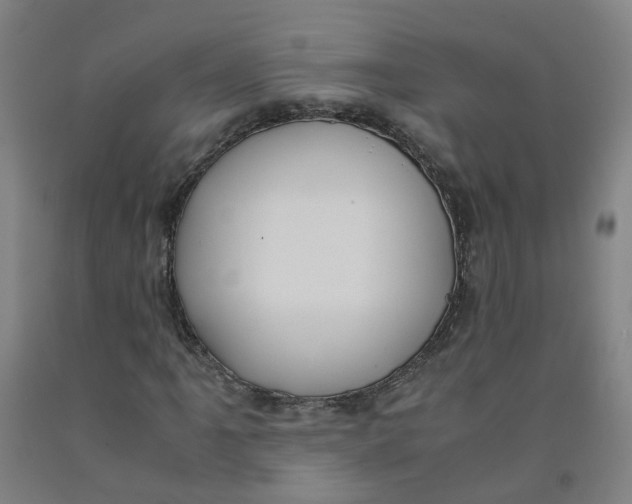 X0000091981061200709271422