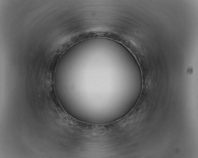 X0000091981062200709271422