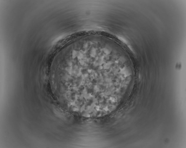 X0000091981063200709271422