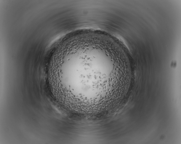 X0000091981064200709271422