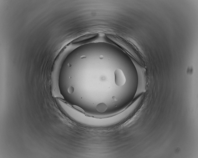 X0000091981065200709271422