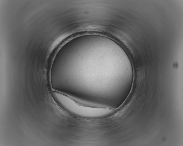 X0000091981066200709271422