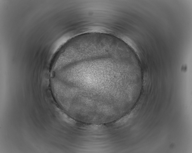 X0000091981067200709271422