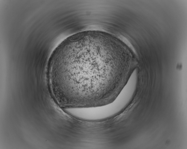 X0000091981068200709271422