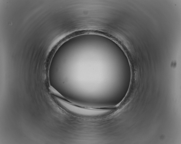 X0000091981069200709271422