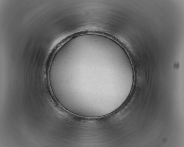 X0000091981070200709271422