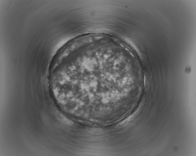 X0000091981071200709271422