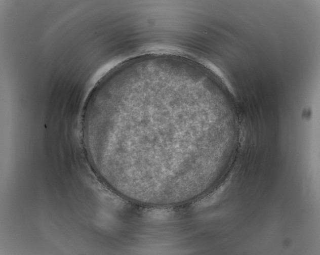 X0000091981074200709271422