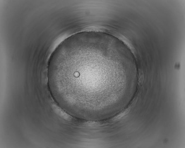 X0000091981075200709271422